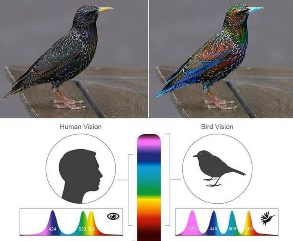 古剑奇谭网络版和剑网三哪个好玩(剑3和古剑奇谭网络版) - 888游戏网