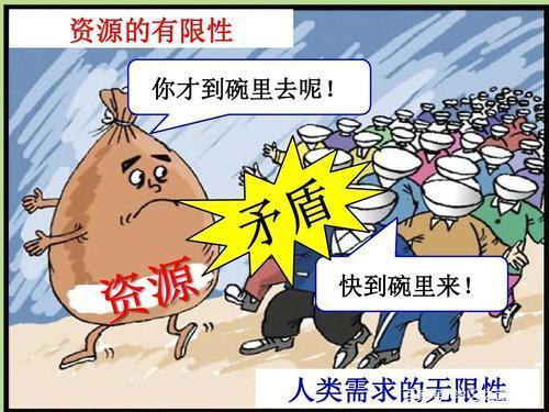 烹饪日常奖励选什么好 烹饪每日任务 - 888游戏网