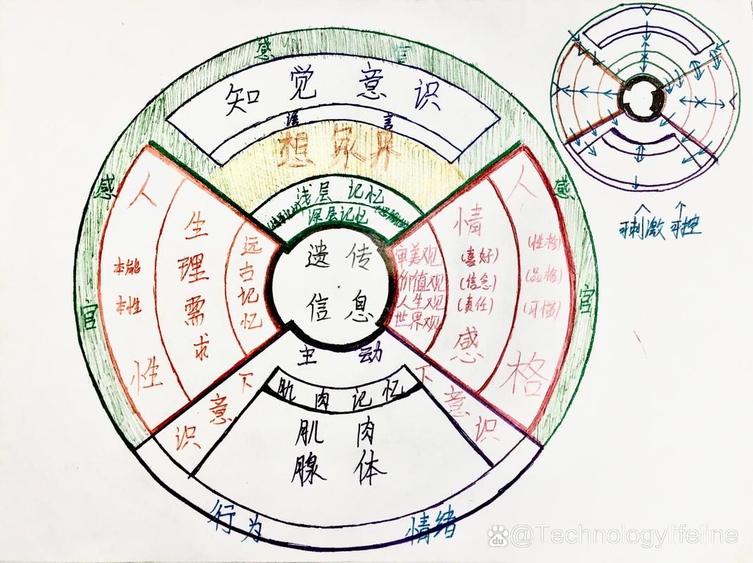 灰太狼假扮喜羊羊是哪一部 灰太狼假扮暖羊羊 - 888游戏网