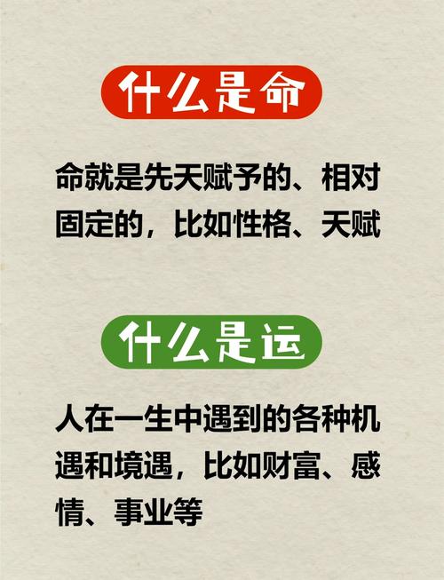 红楼春趣中讲了哪些趣事 红楼春趣主要写了一件什么事 - 888游戏网