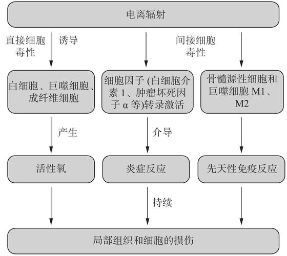 粒子束武器的毁伤原理是什么;粒子束武器原理图 - 888游戏网